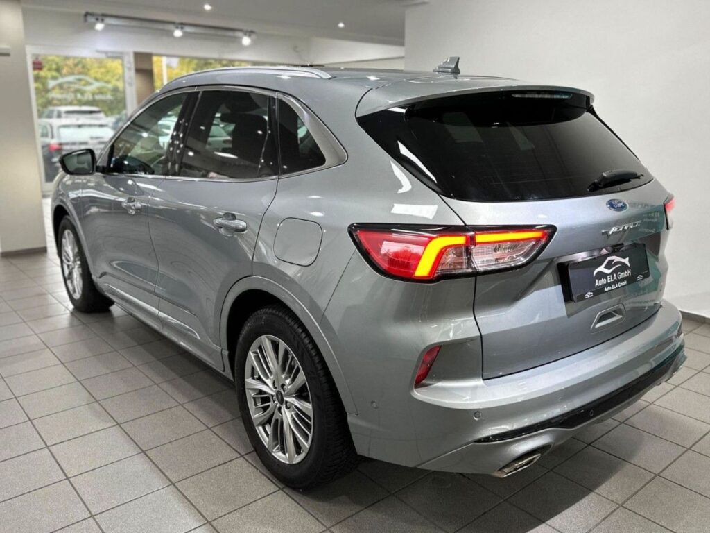 424c47fb-6168-4c8f-8266-d55dc65bccaerulemo-1600