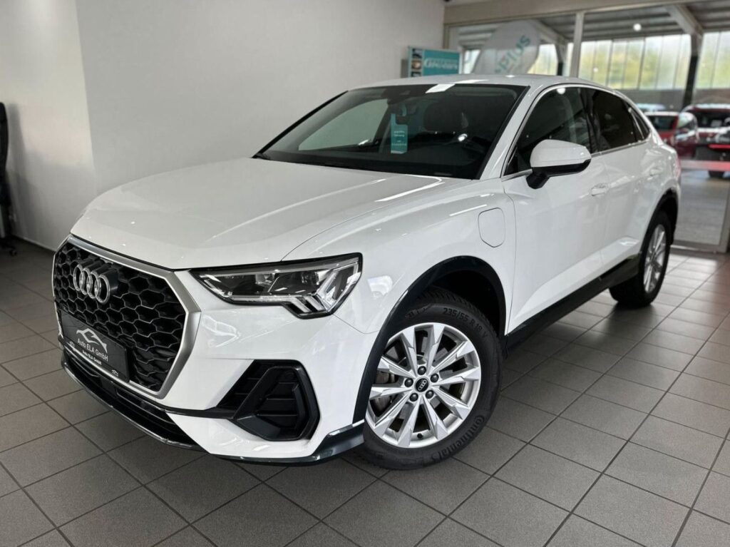 c641d01f-9284-4e79-a8d7-c716d54d3a5arulemo-1600-1